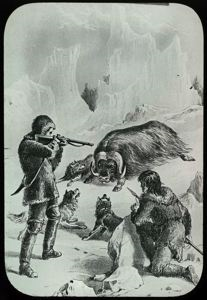 Image of Shooting a Musk-ox, Engraving